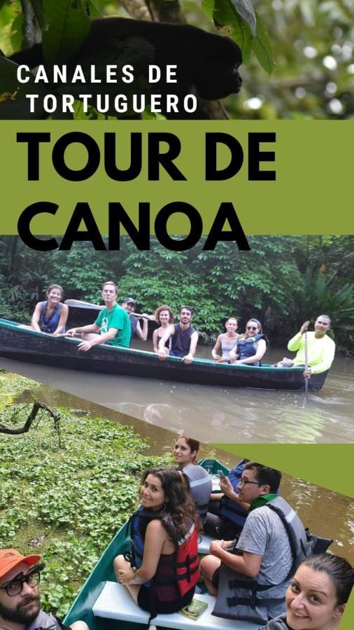 Hotel Casa turtle Bogue à Tortuguero Extérieur photo