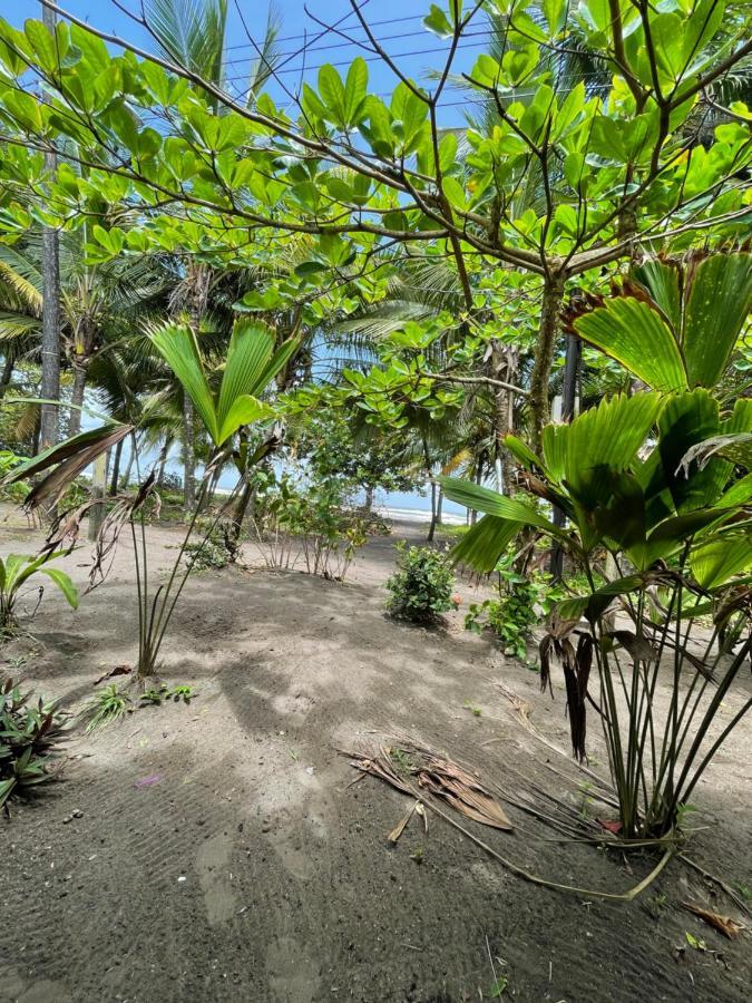 Hotel Casa turtle Bogue à Tortuguero Extérieur photo
