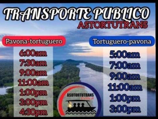 Hotel Casa turtle Bogue à Tortuguero Extérieur photo