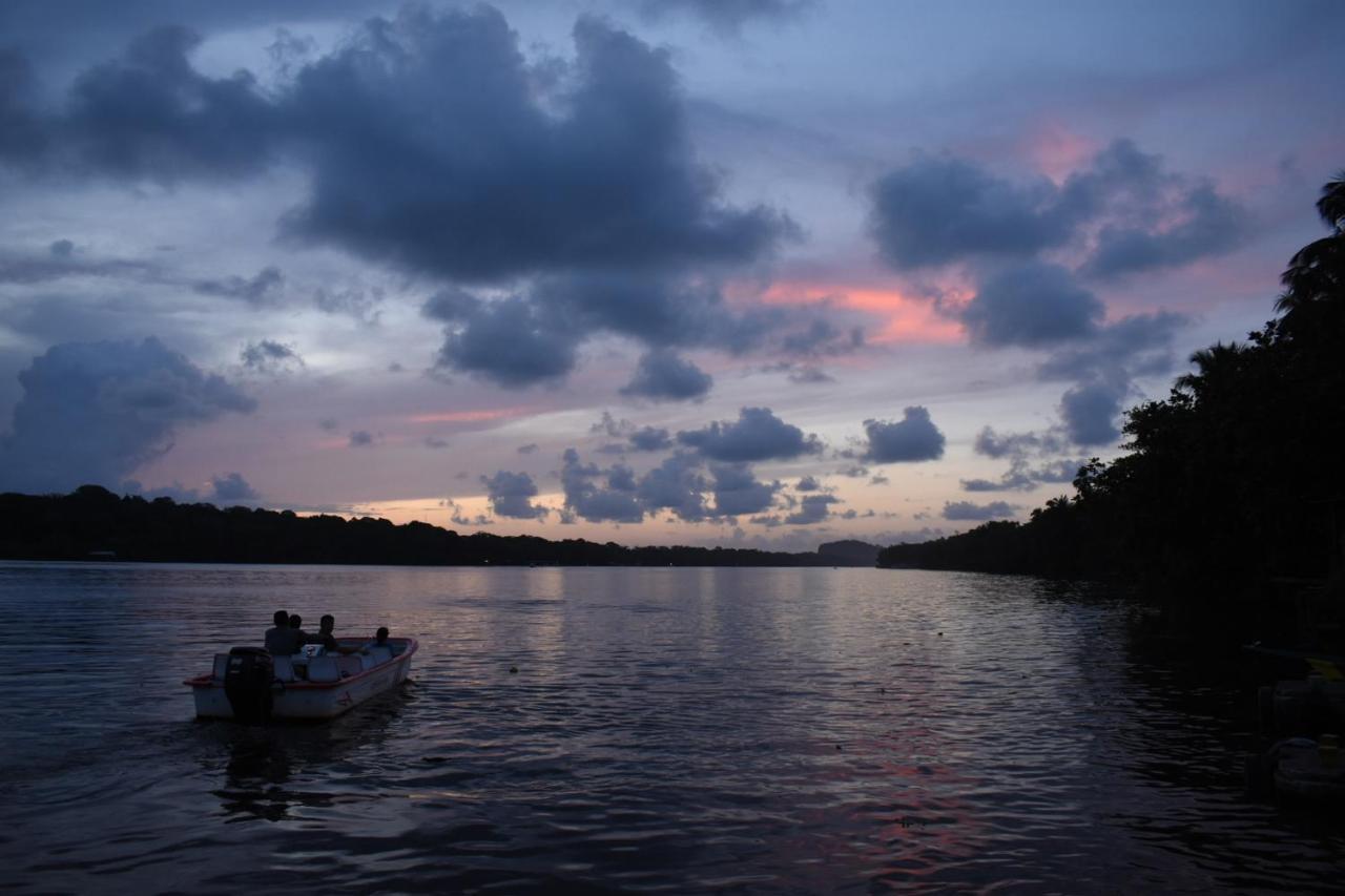 Hotel Casa turtle Bogue à Tortuguero Extérieur photo