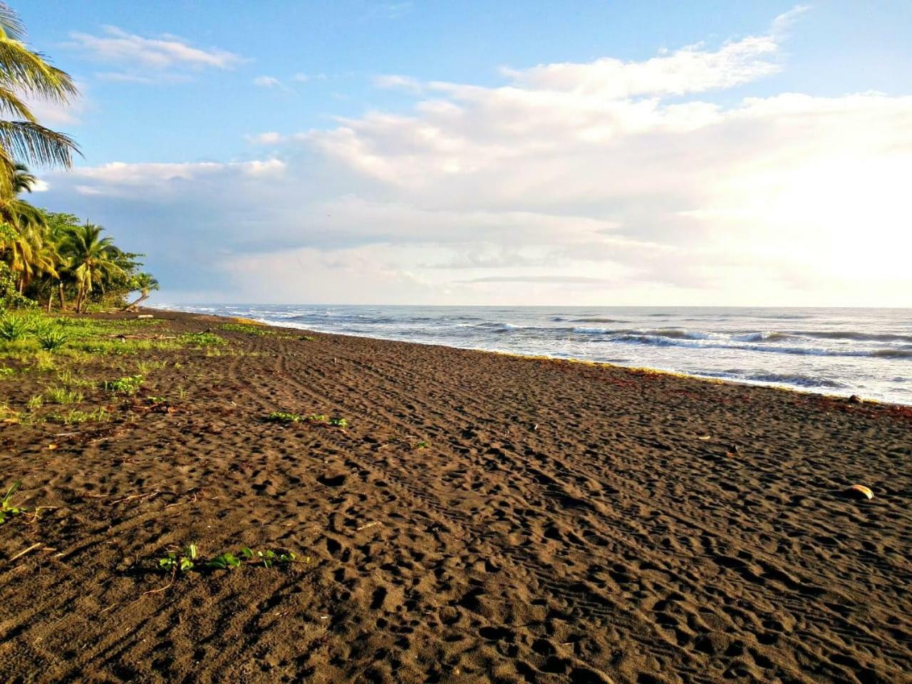 Hotel Casa turtle Bogue à Tortuguero Extérieur photo
