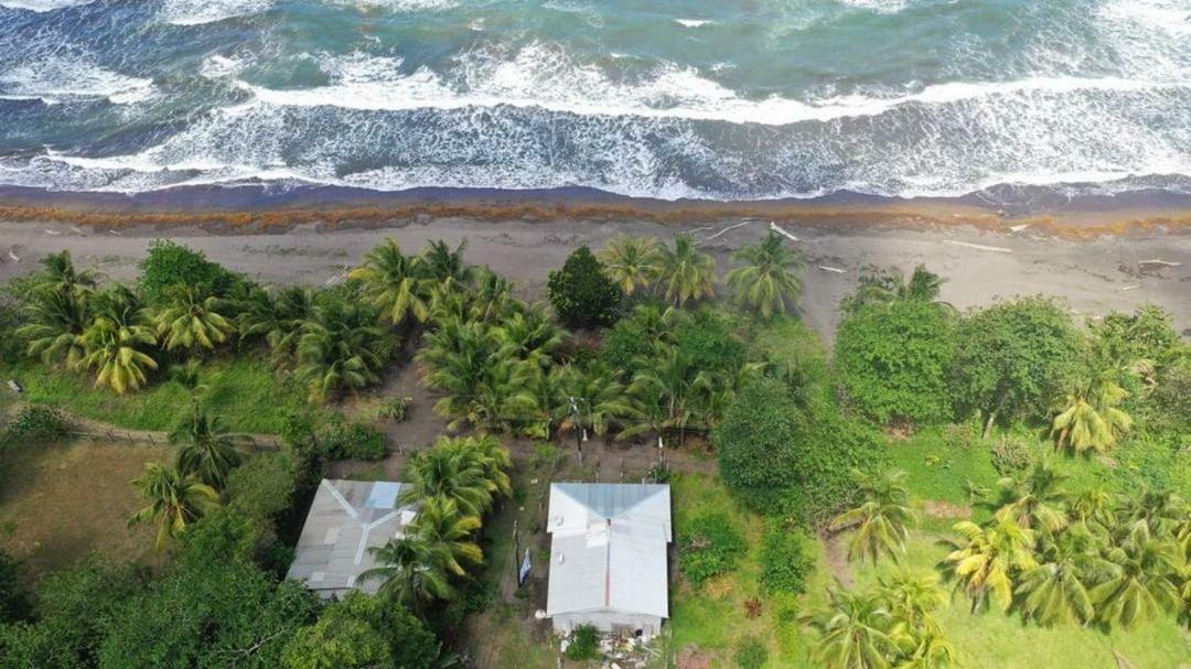 Hotel Casa turtle Bogue à Tortuguero Extérieur photo